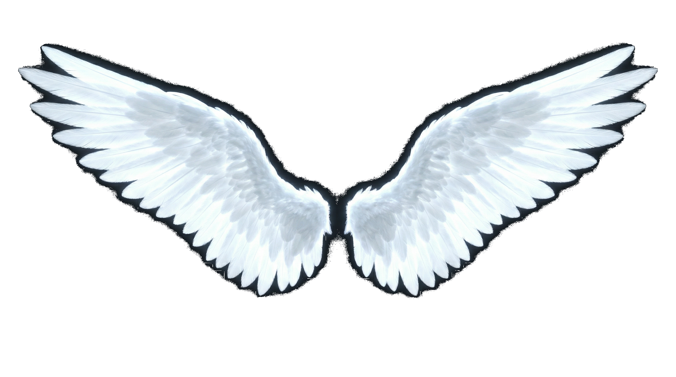 Archandělská křídla